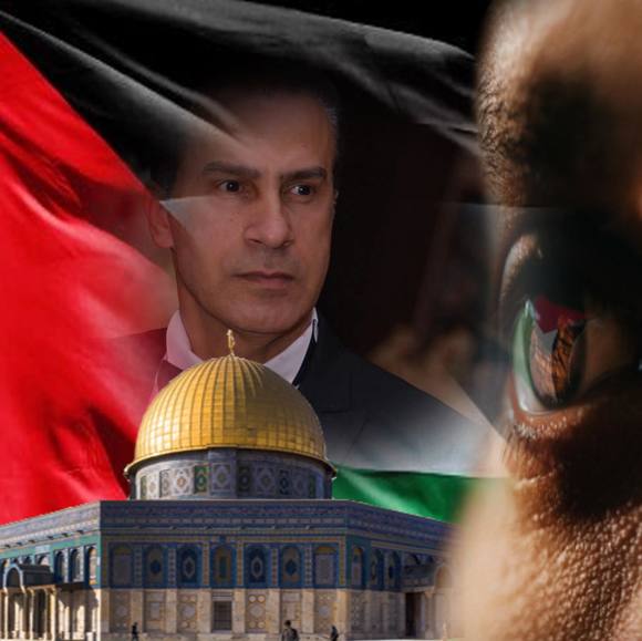 Meet your Posher, Ahmad - Picture 1 of 1